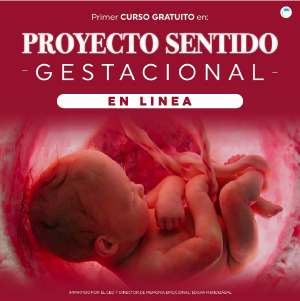 PROYECTO SENTIDO GESTIONAL