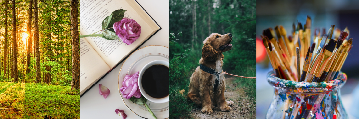 a sunlit forest, a cup of coffee and a book with two flowers, a dog on a trail, paintbrushes