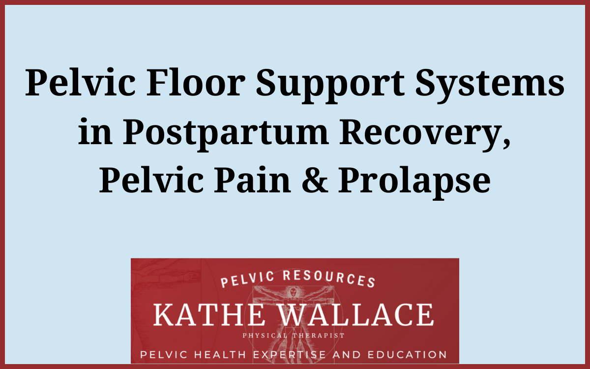 Pelvic Floor Support Systems