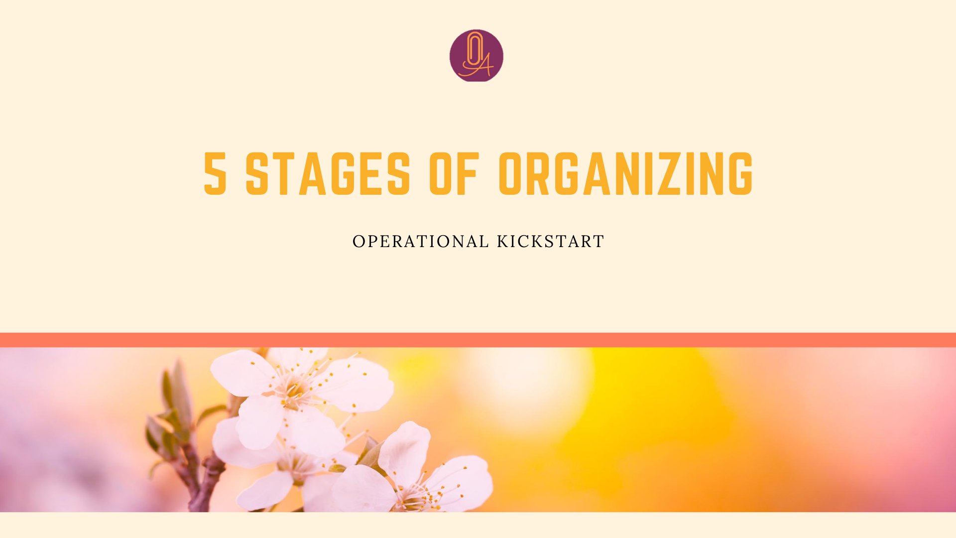 Organizational Roadmap