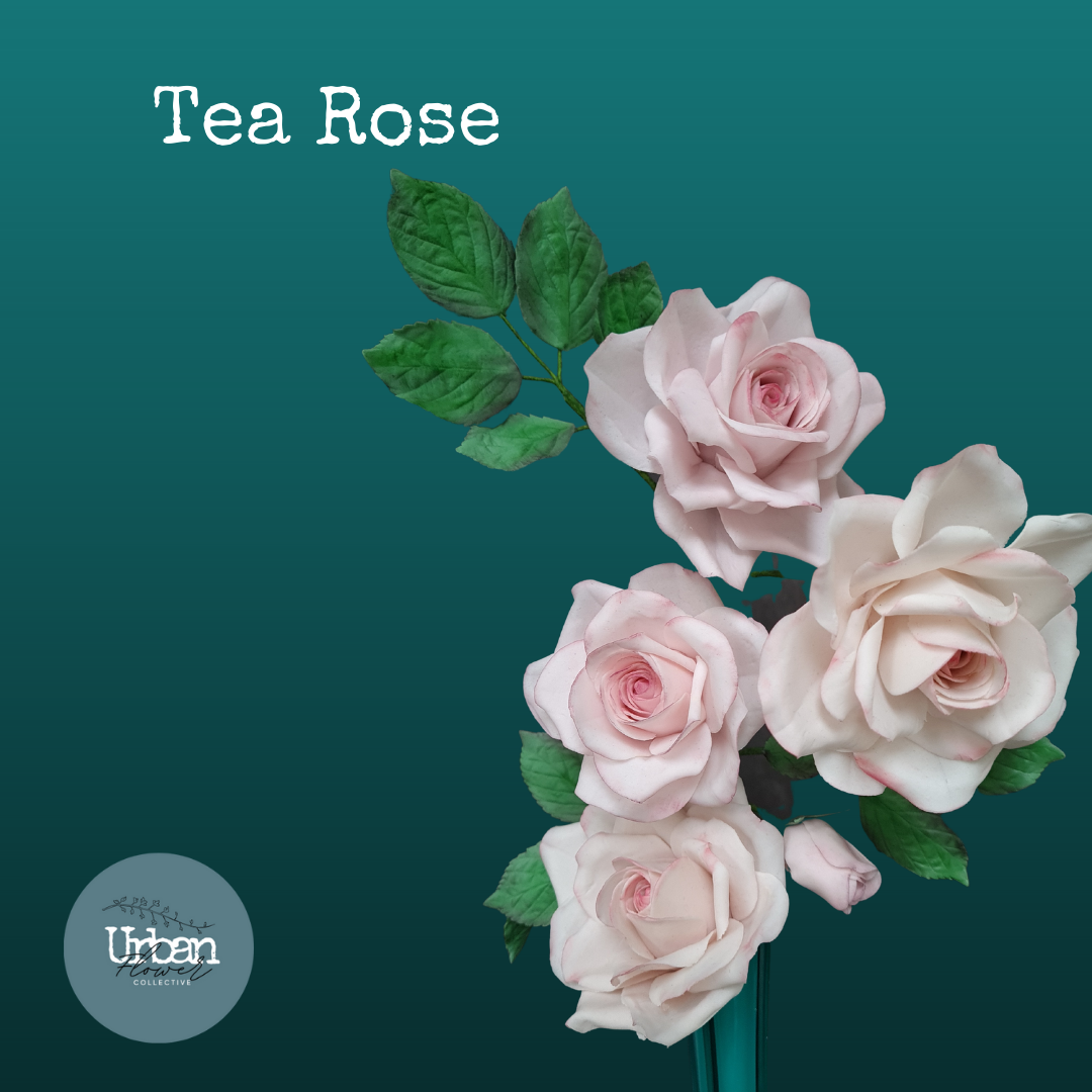 The Tea Rose