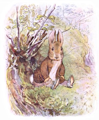 The Tale of Benjamin Bunny