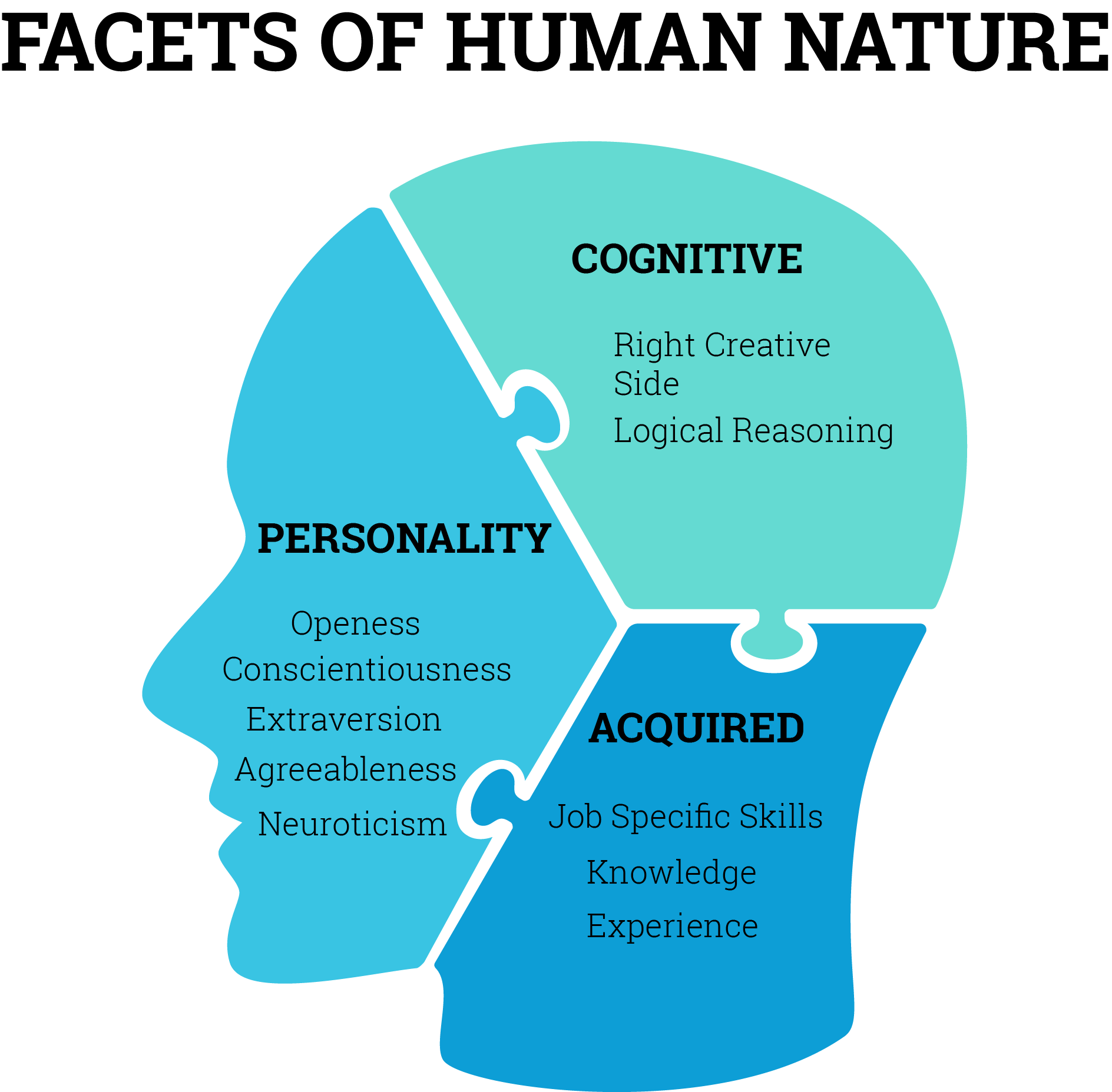 Psychometric Theory