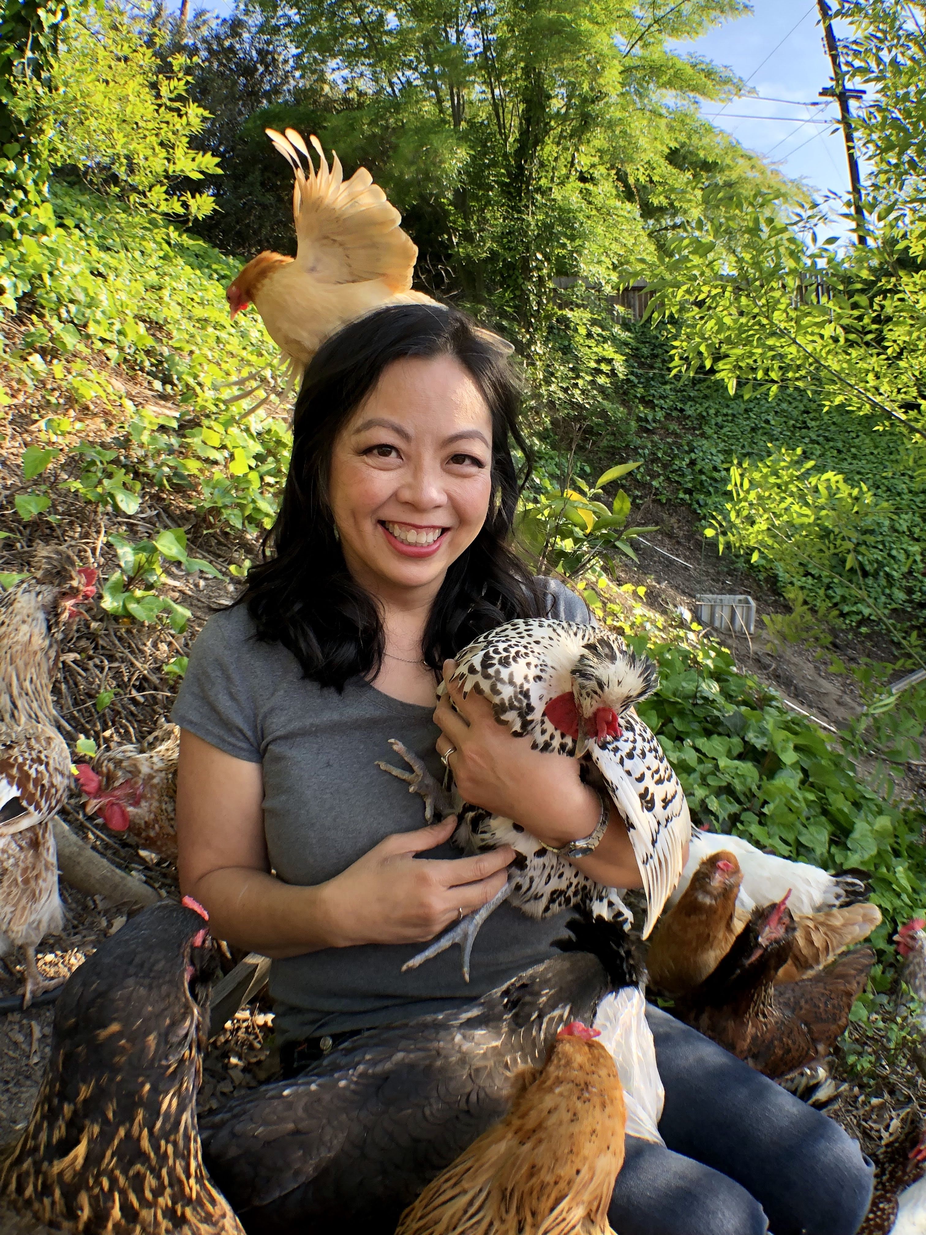 Asian-American woman with a small chicken trying to fly off her head. She&#39;s holding a black and white polka-dotted chicken while many other surround her.