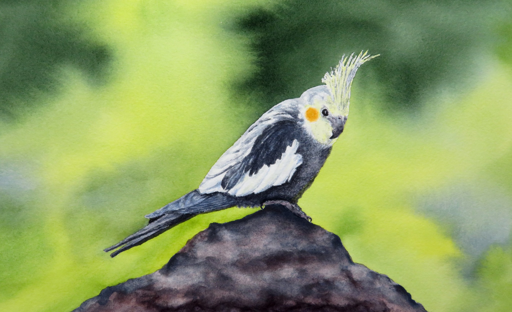 Watercolor painting of a bird by Art student