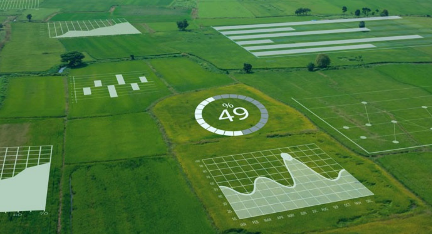 Satellite image of farm fields