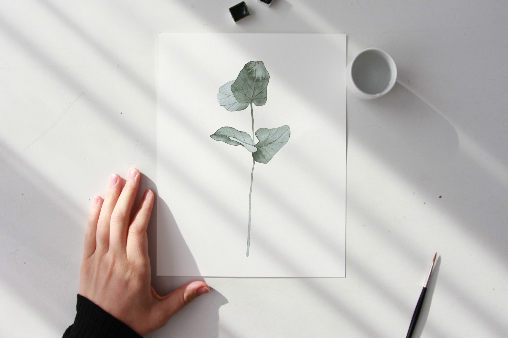 Botanical online watercolor art classes