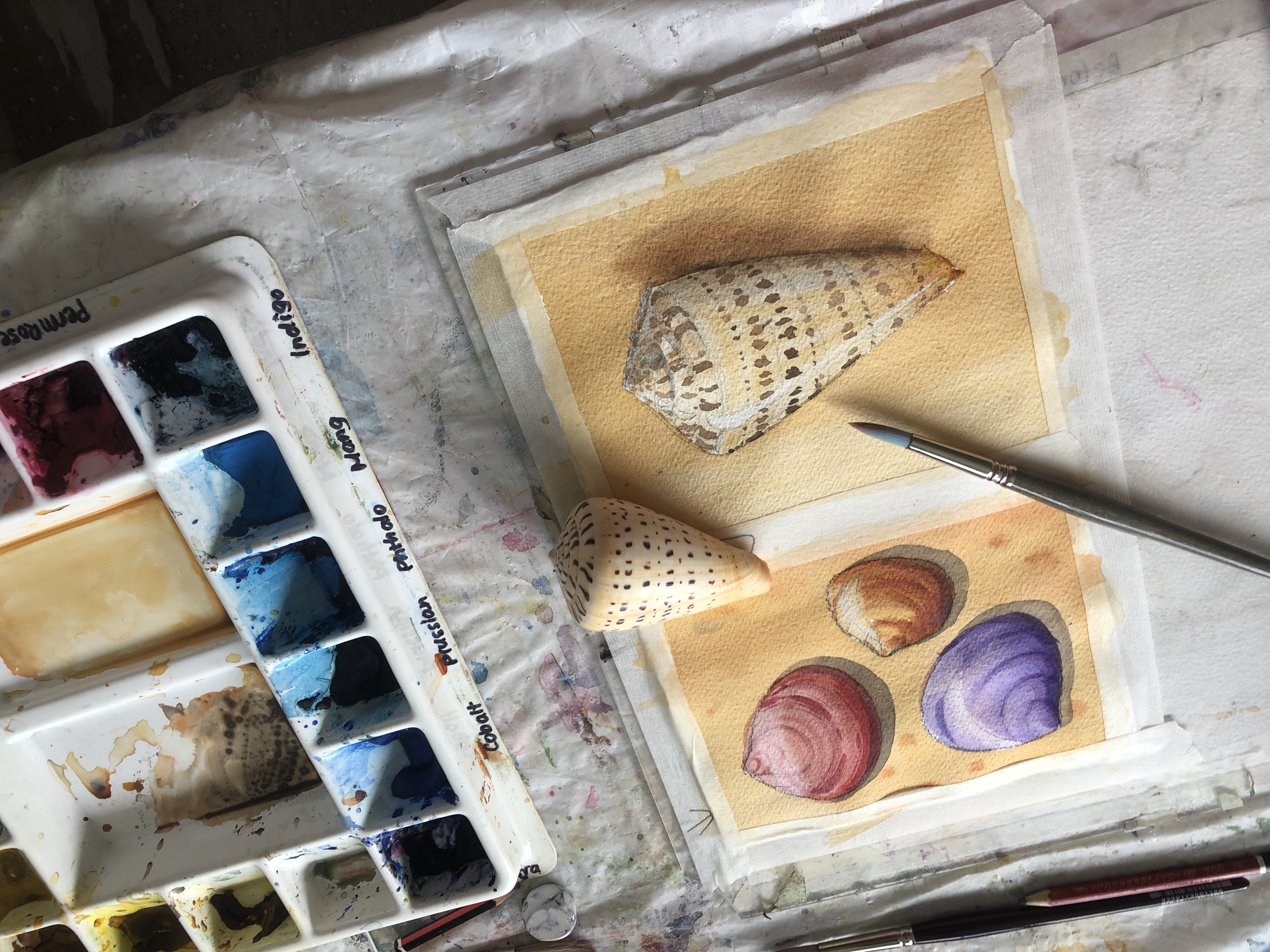 Still life painting - Online Watercolor course and classes teaching absolute beginners how to paint in watercolour with Jenny Gilchrist and Northern Beaches Watercolour