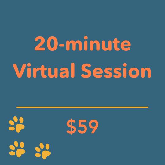 20-minute coaching session for $39