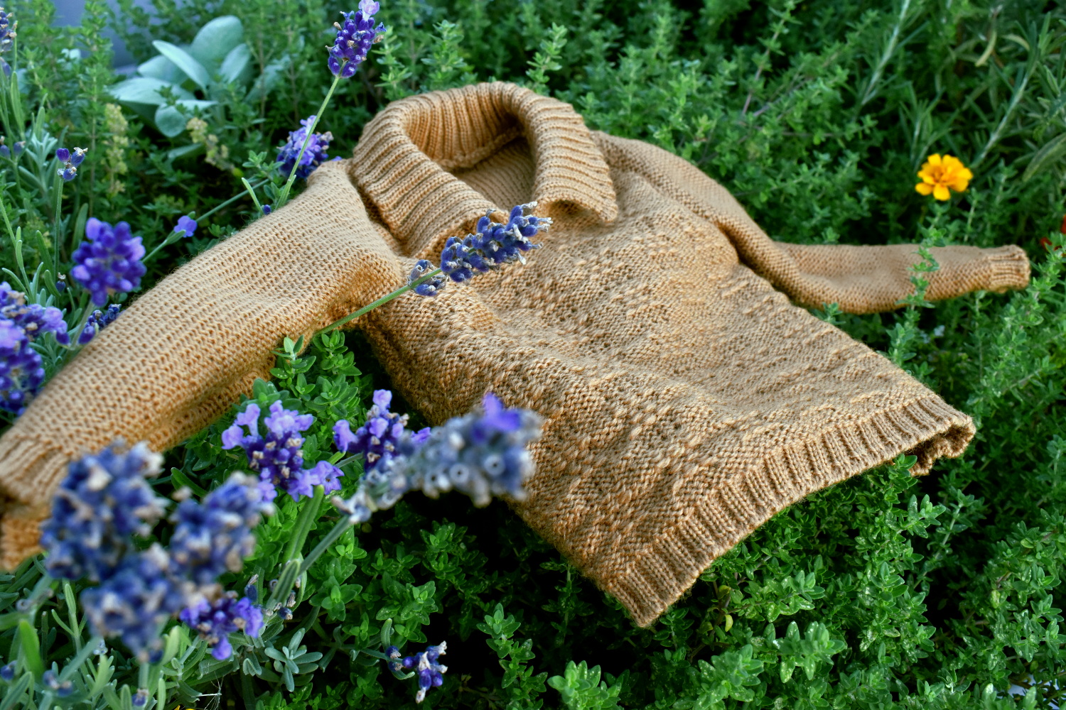 Wool sweater in a field
