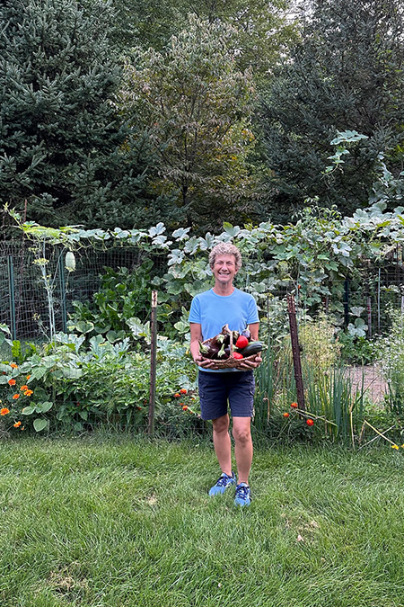 organic gardening eggplant harvest