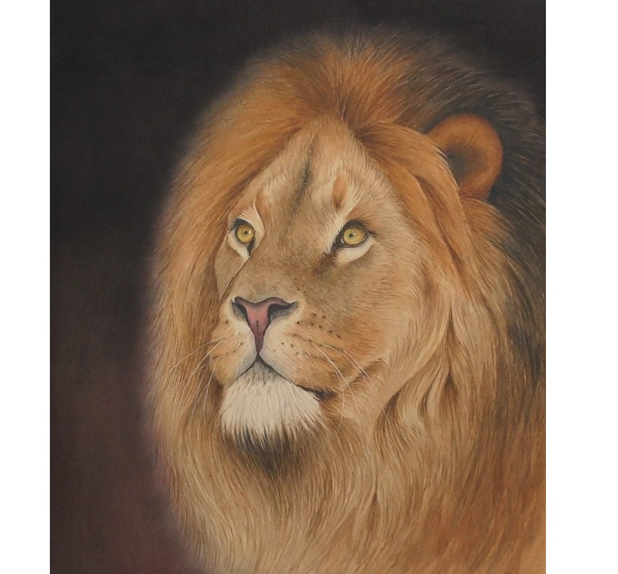 lion in watercolor by rebecca rhodes