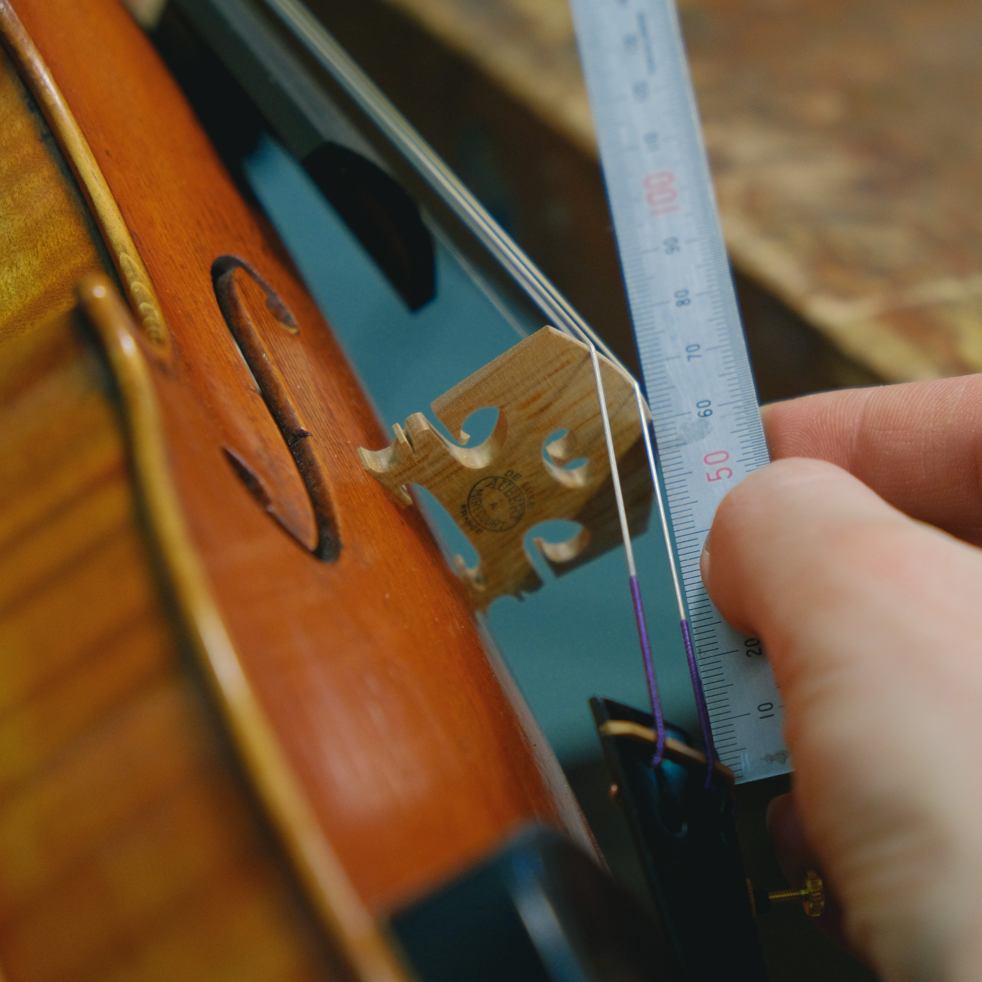 Edgar's Online Violinmaking Academy