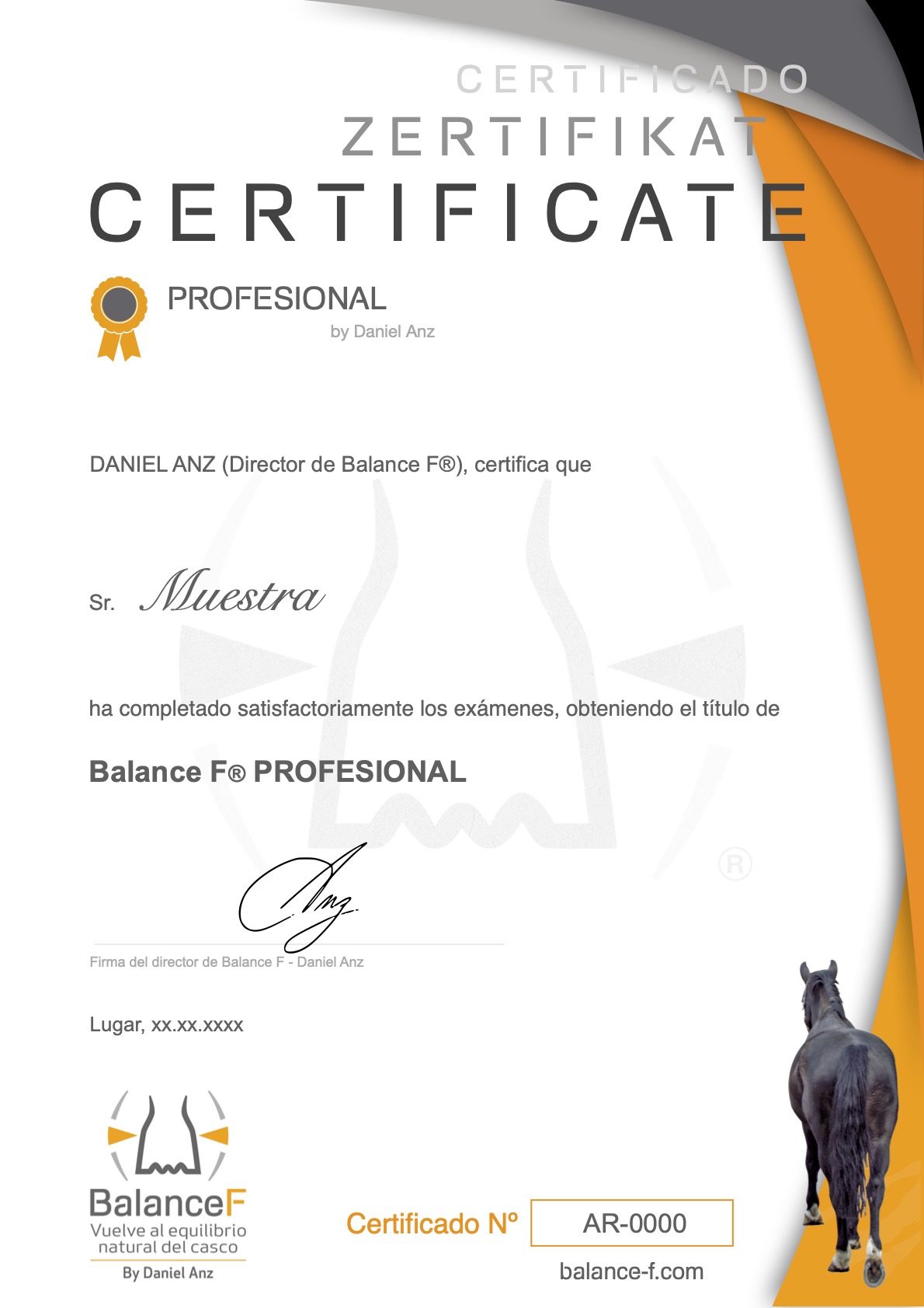 Certificado Balance F Profesional