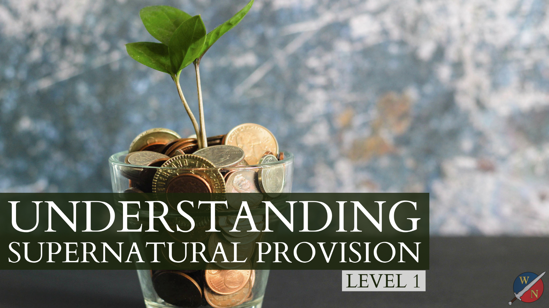 Understanding Supernatural Provision Level 1 with Dr. Kevin Zadai