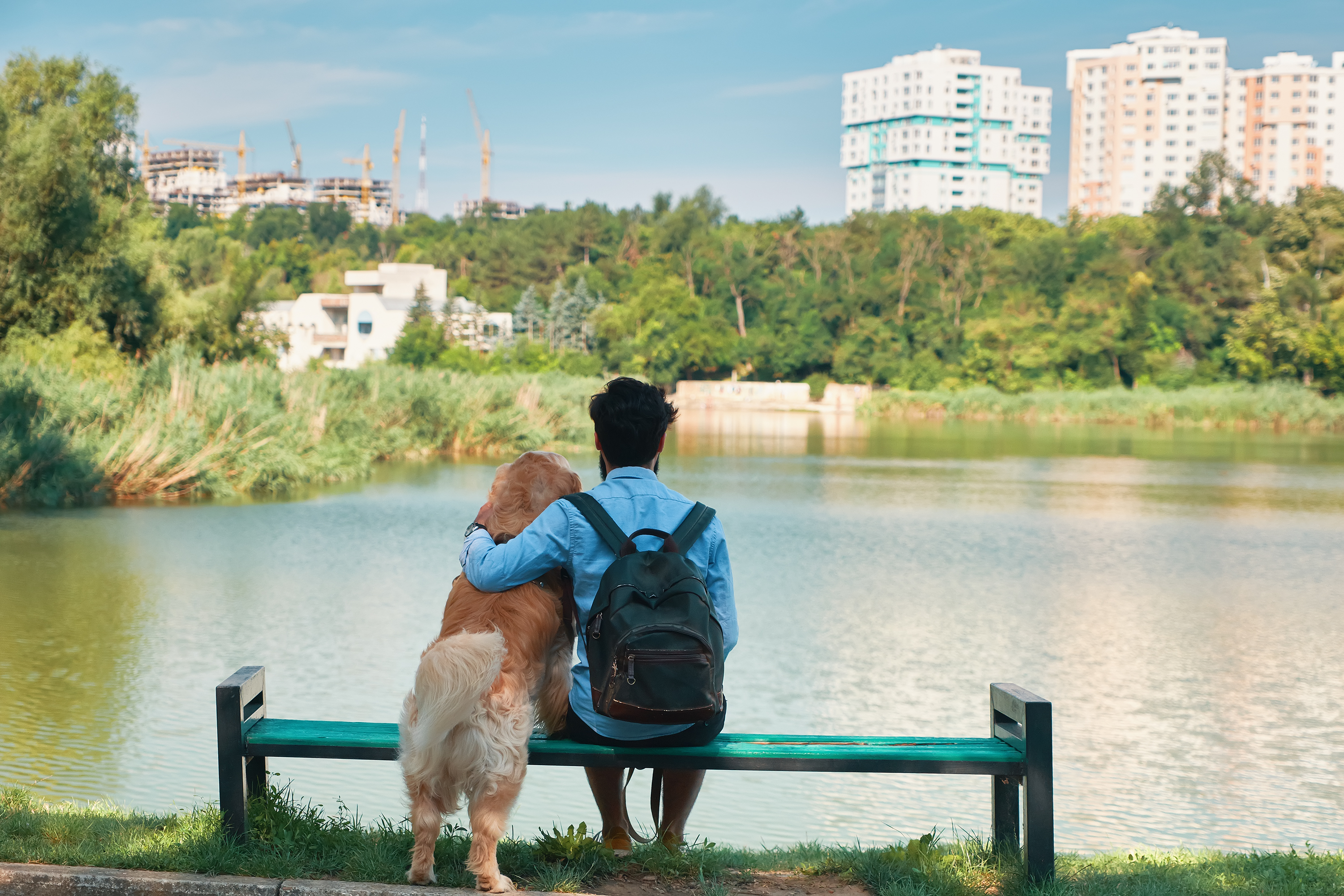 Dreaming to be a veterinarian ?