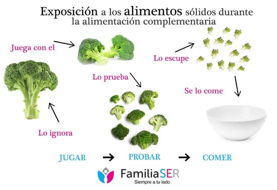 Alimentación complementaria AC  Alimentación perceptiva BLW BLISS – Tool-be