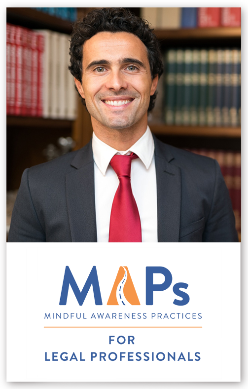 MAPs for Legal Professionals