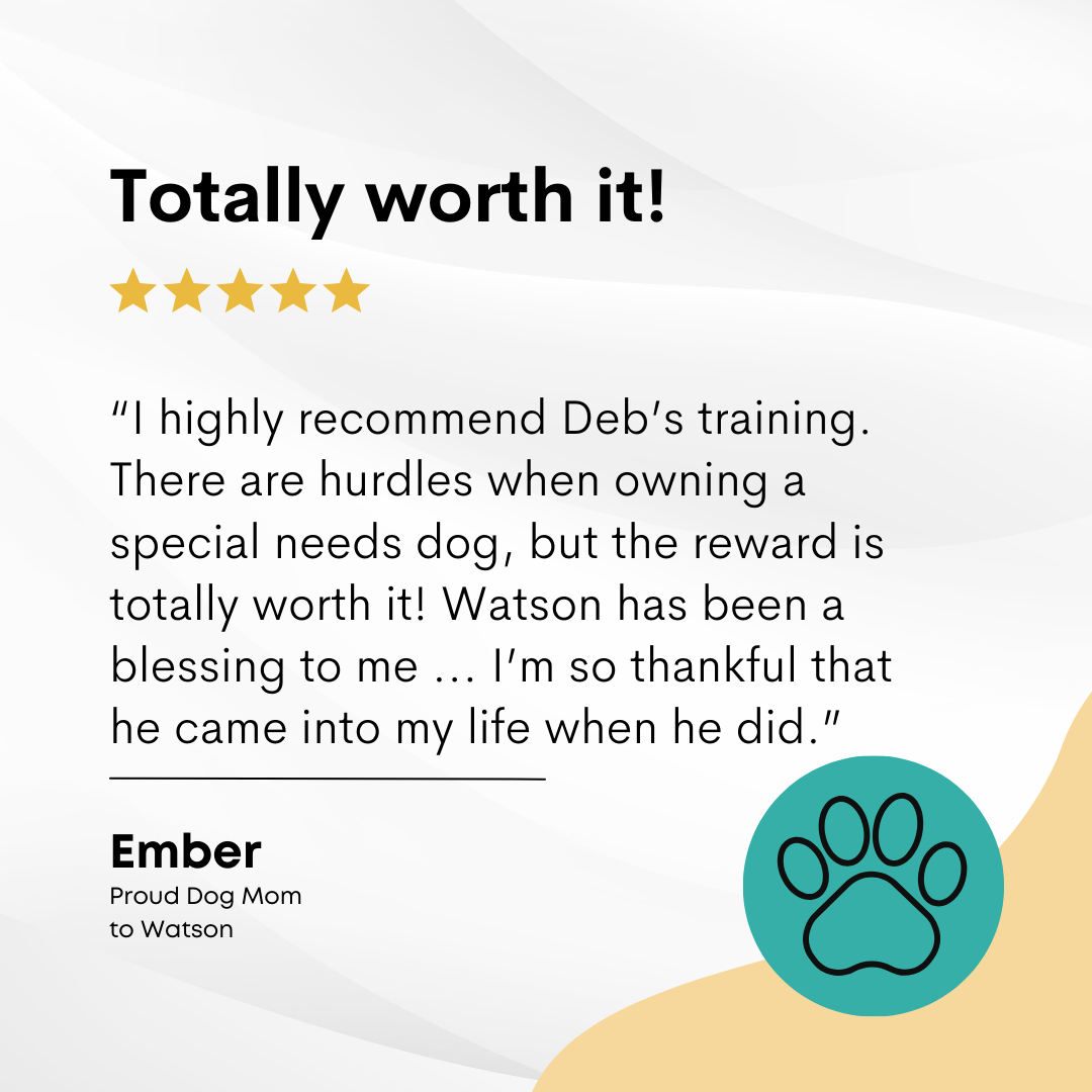 Client testimonial: I highly recommend Deb's training.  There are hurdles when owning a special needs dog, but the reward is totally worth it! Watson has been a blessing to me ... I'm so thankful that he came into my life when he did.