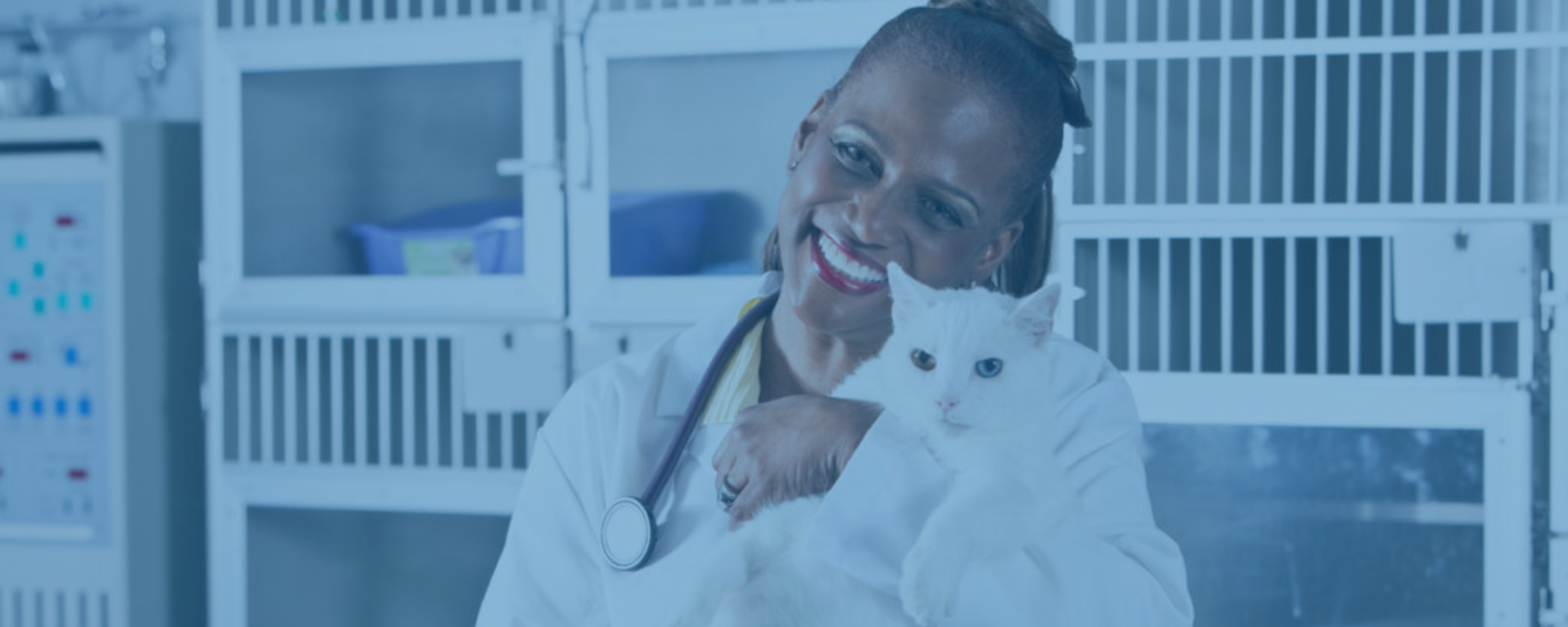 Pathogenic Bacteria Carried by Cat Fleas