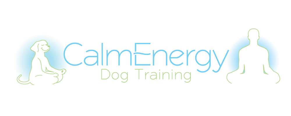 best dog trainer training videos