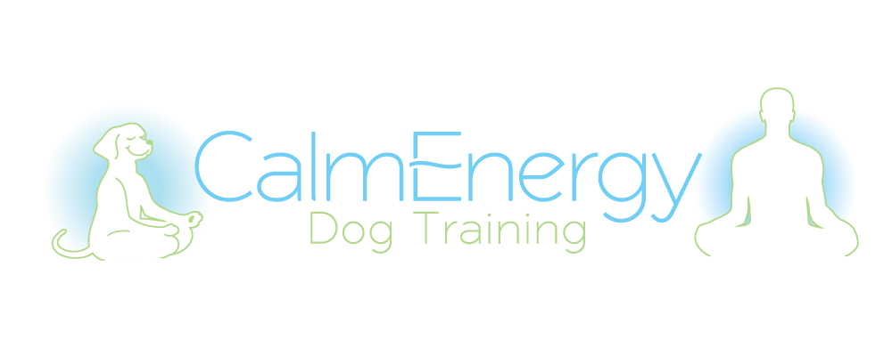 best dog trainer training videos