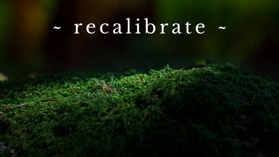 recalibrate