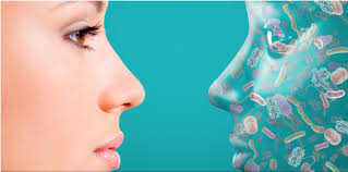 The Stress, Gut and Skin Connection