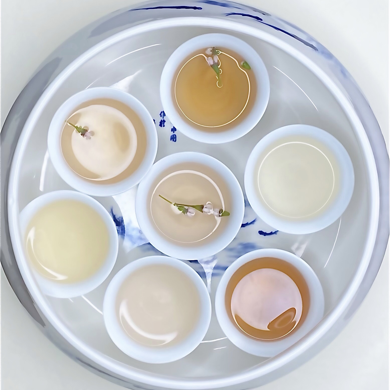 10 Tea Samplers of Our Top-Terroir Teas