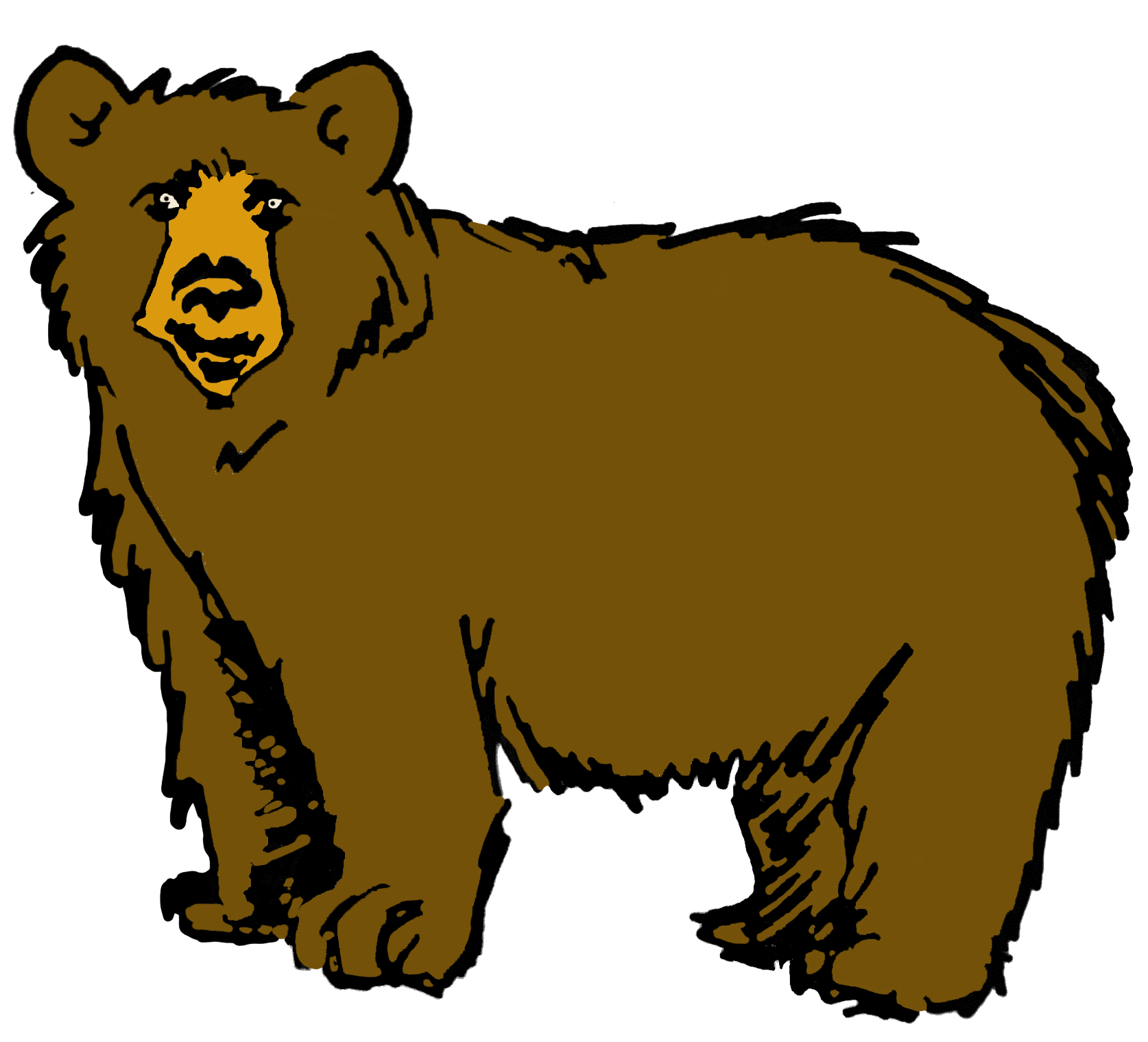 Drawing of a bear