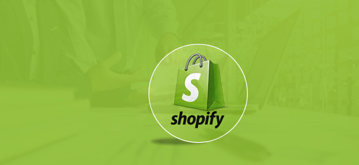 Shopify E-Commerce Websites for Beginners & Freelancers