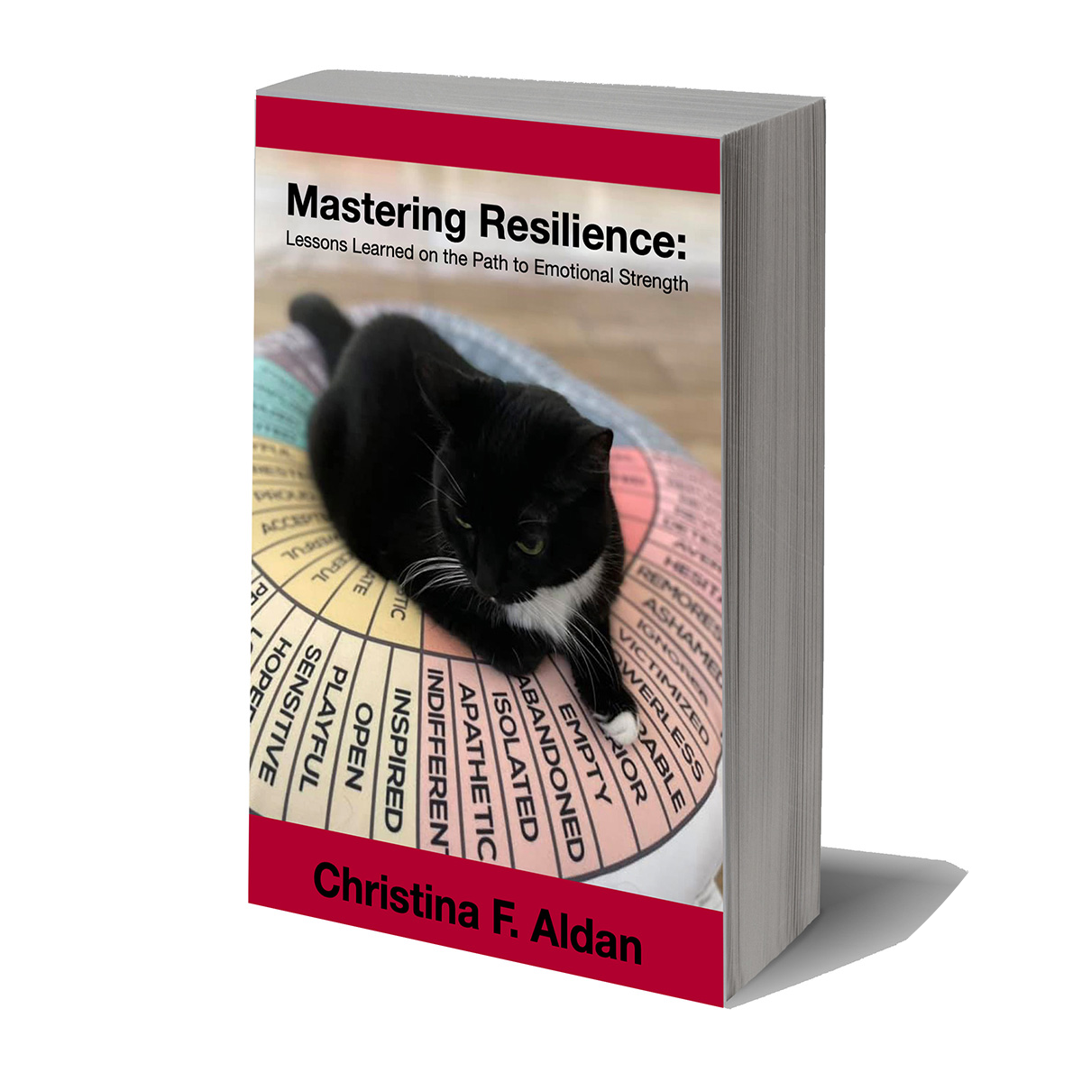 Cover of Mastering Resilience: Lessons Learned on the Path to Emotional Strength by Luckygirliegirl Christina Aldan