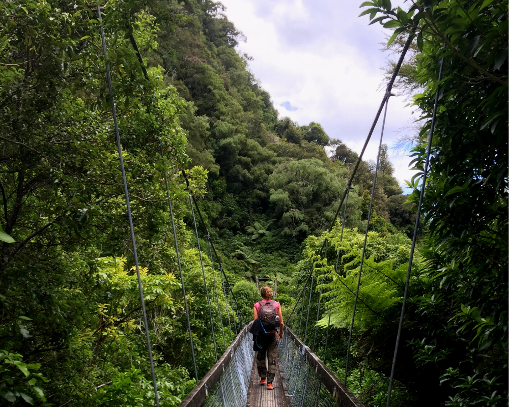 Kristjan on a bridge in the jungle