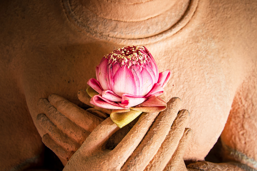 Buddhist statue with flower