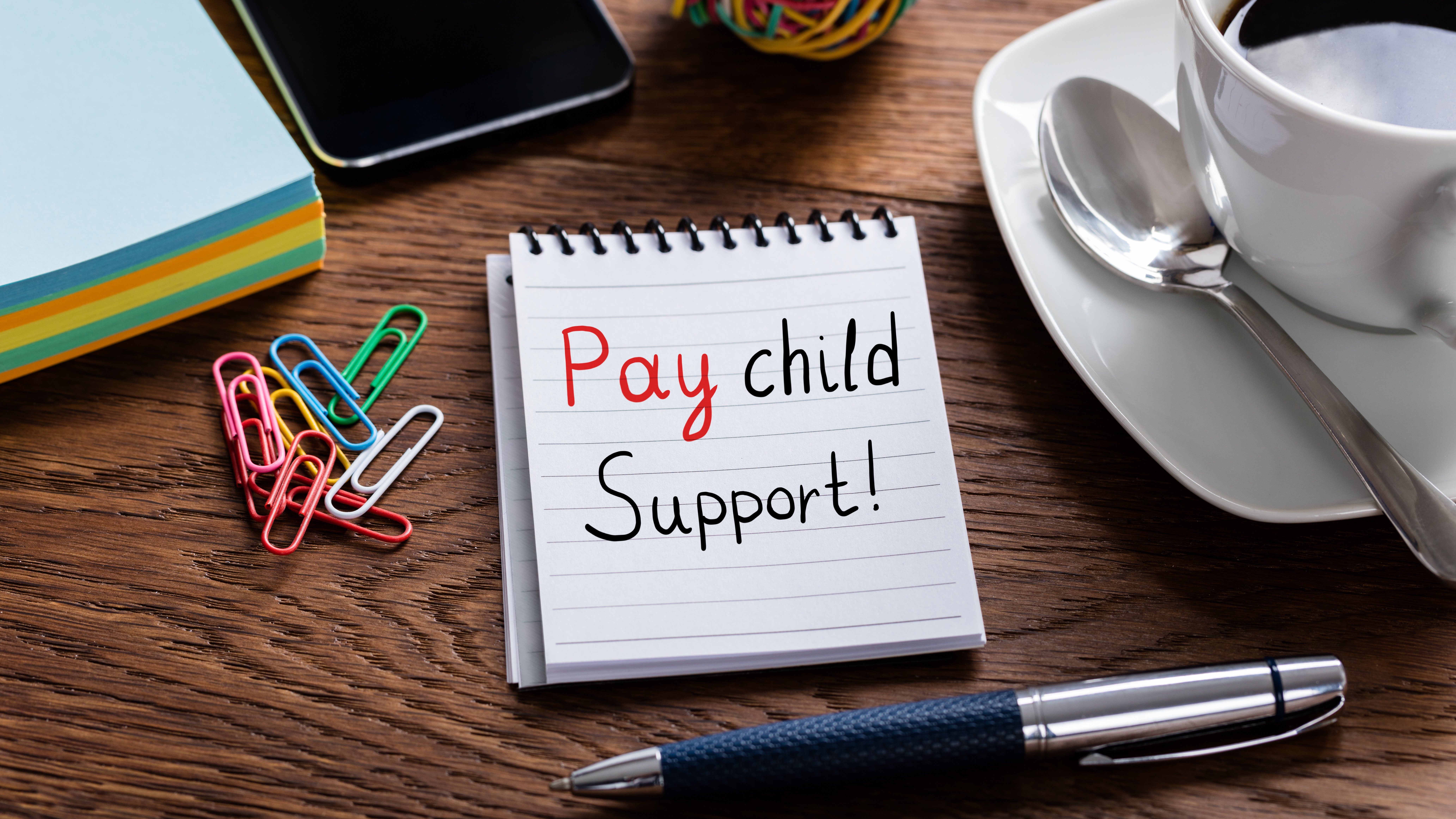APEG Understanding Child Support