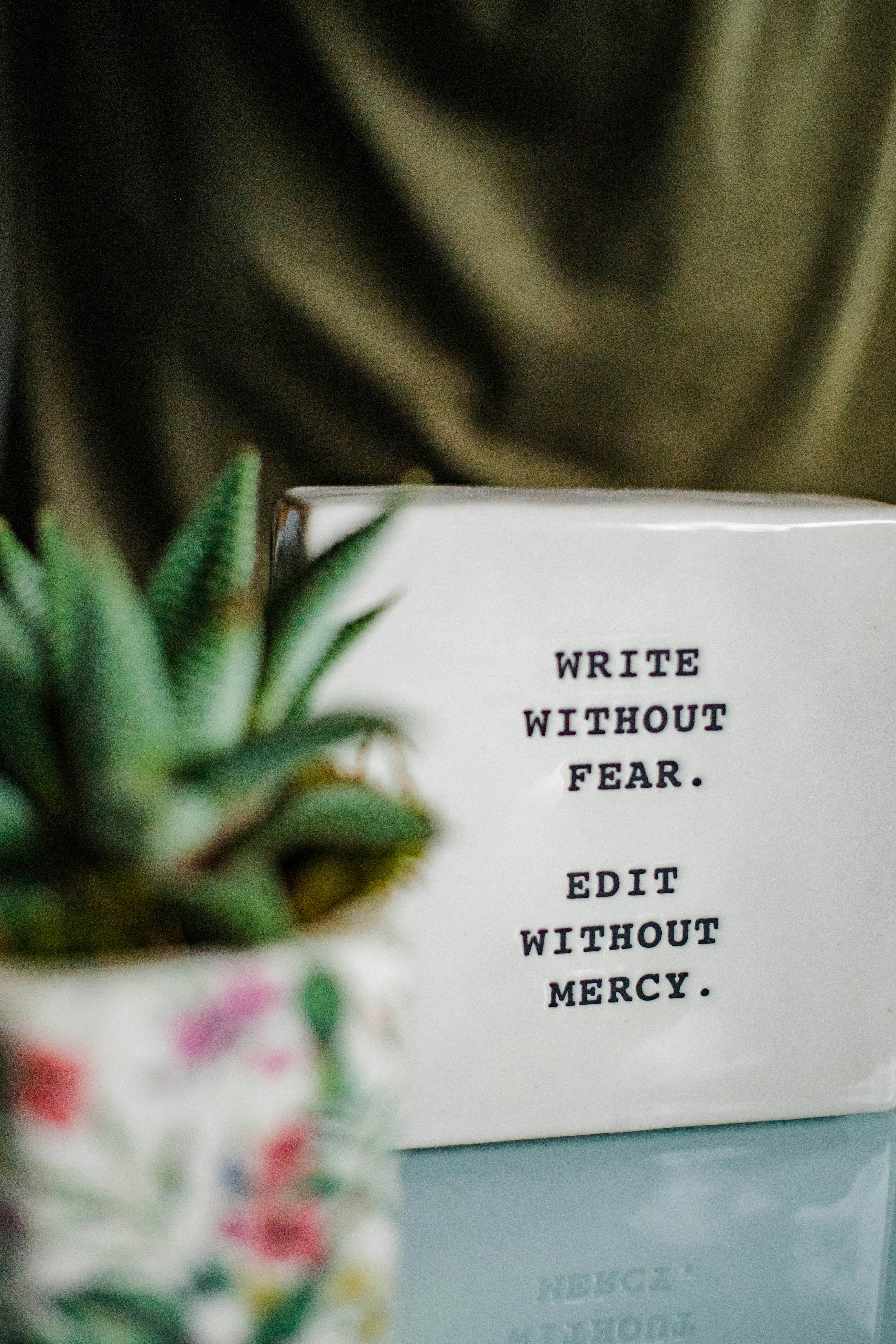 blurry pot plant with the words behind it: write without fear, edit without mercy