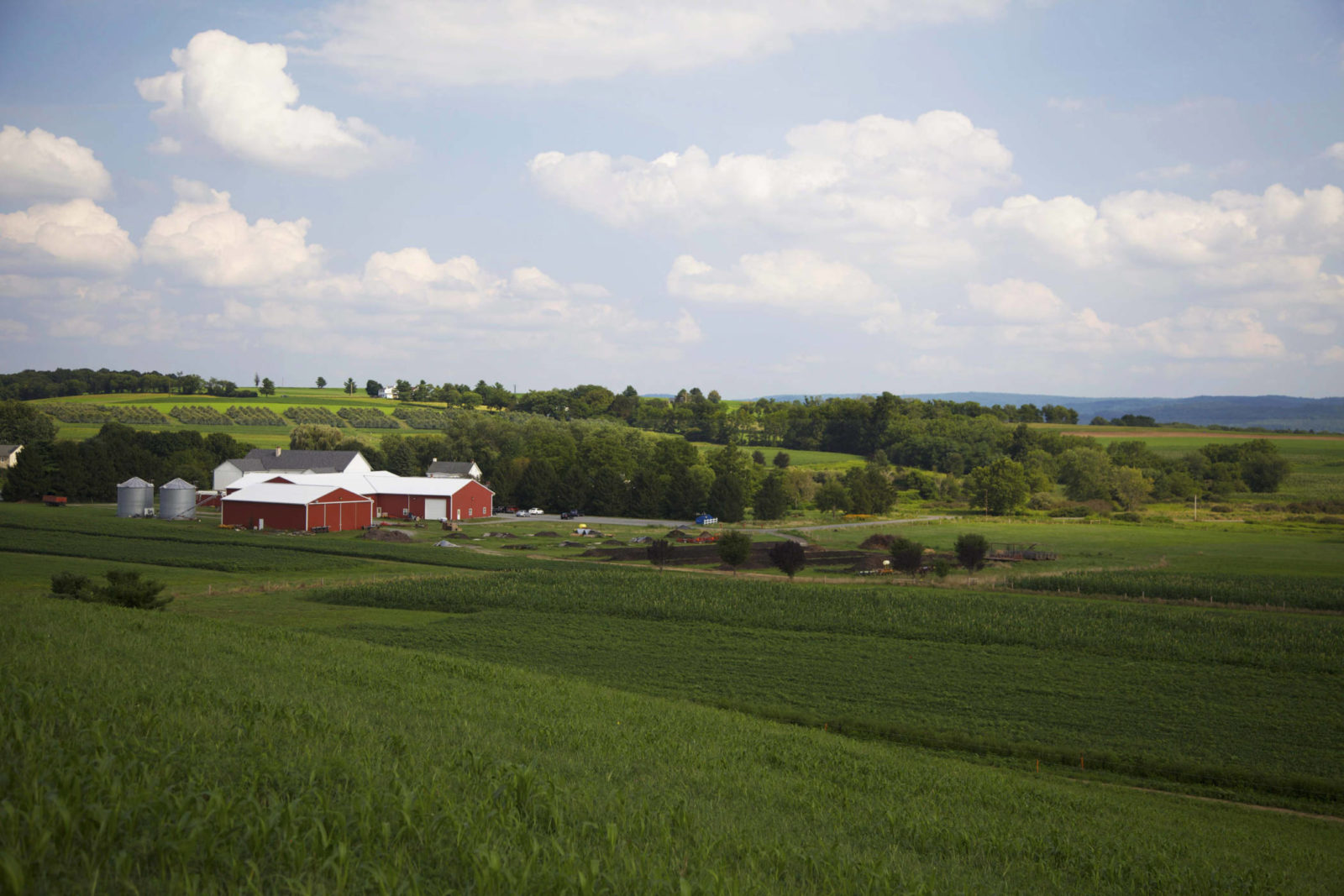 Rodale Institute Farm in Kutztown, Pennsylvania