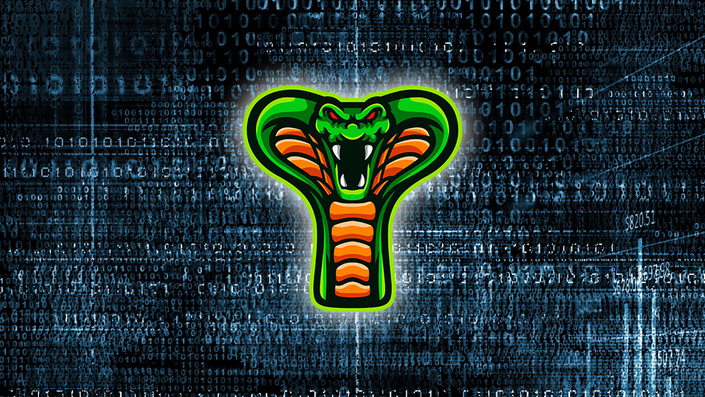 Python 201 for Hackers Snake Logo