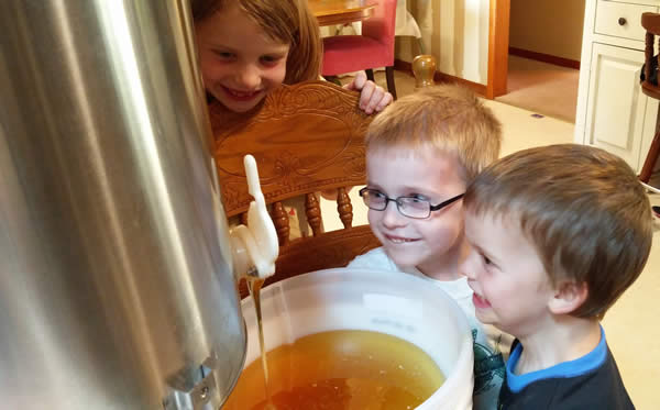 Beekeeping Honey making