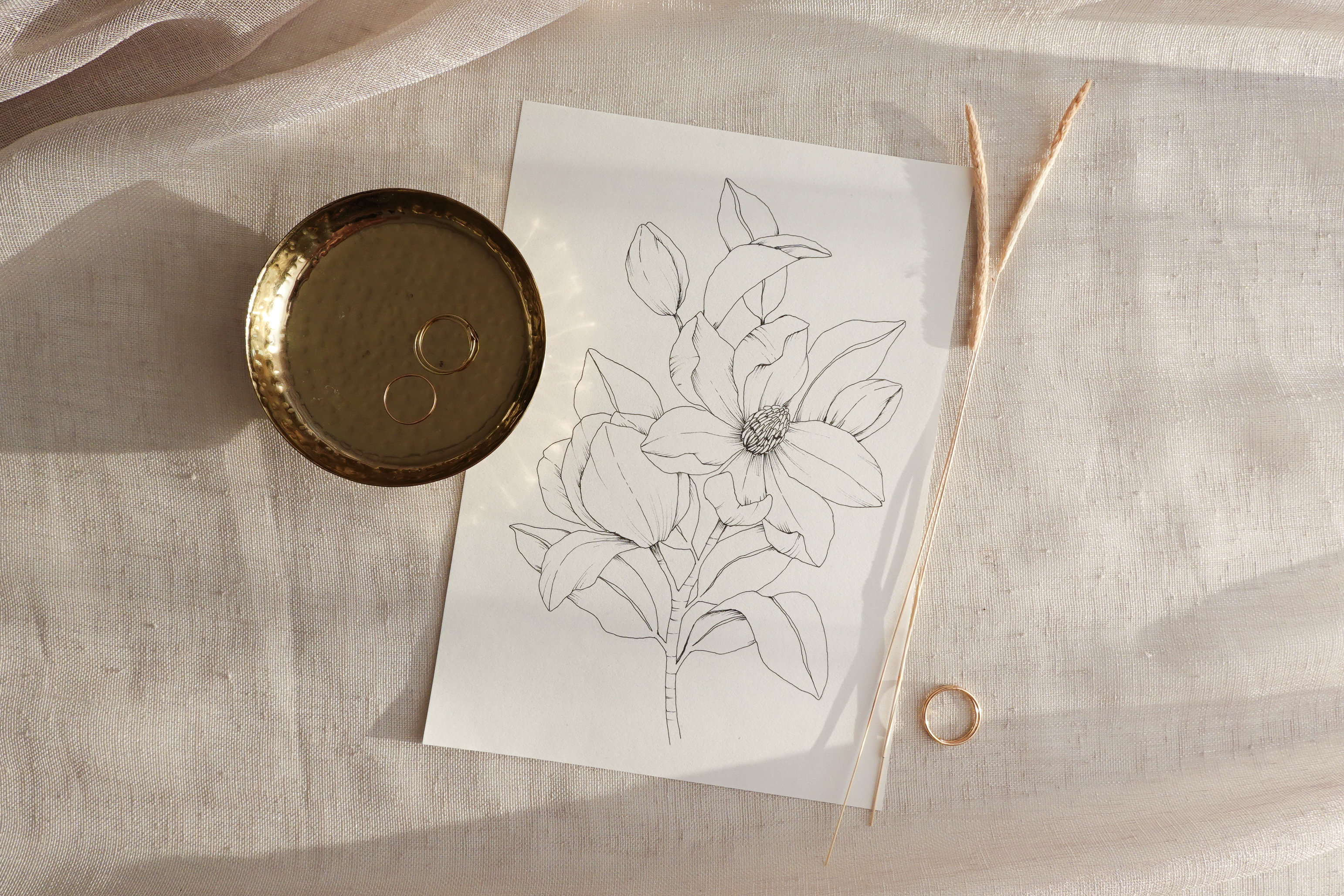 Drawing course Magnolia art tutorials for beginners