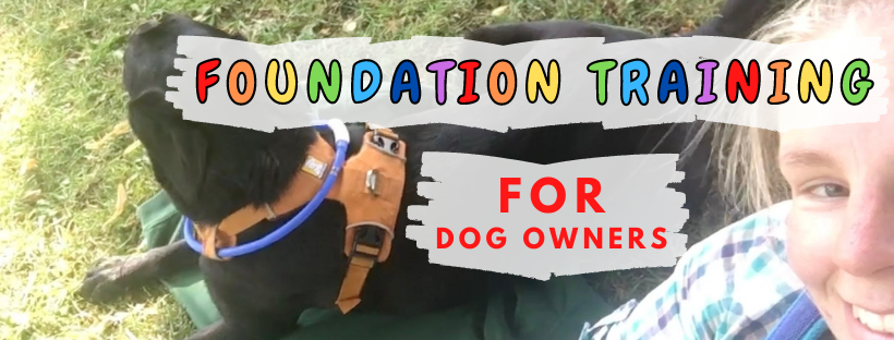 Foundation Training FOR DOG OWNERS