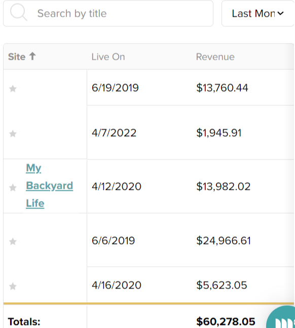 Niche Site Revenue Screenshot