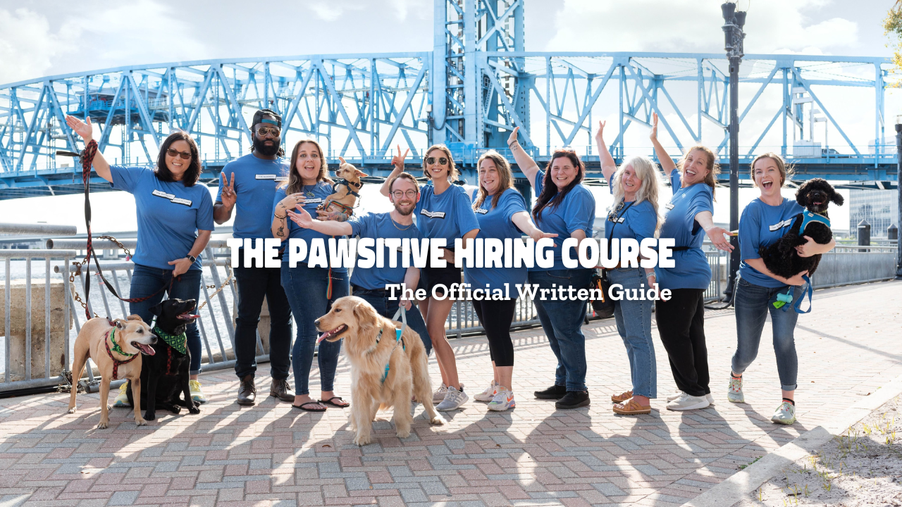 pet sitter hiring course