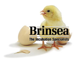 Brinsea Incubation Specialists