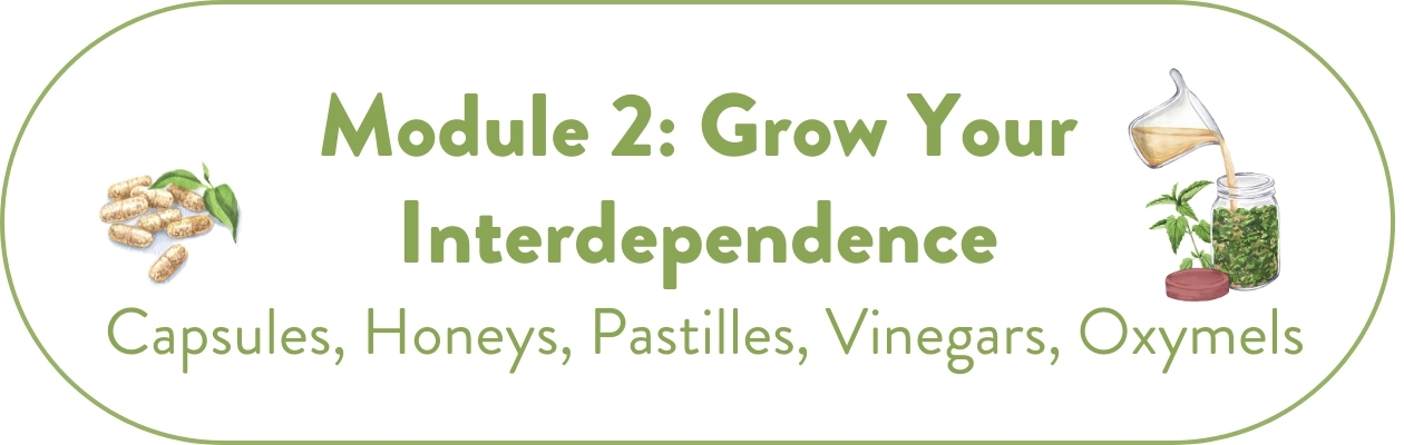 Module 2: Grow Your Interdependence: Capsules, Honeys, Pastilles, Vinegars, Oxymels 