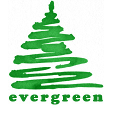 Evergreen tree