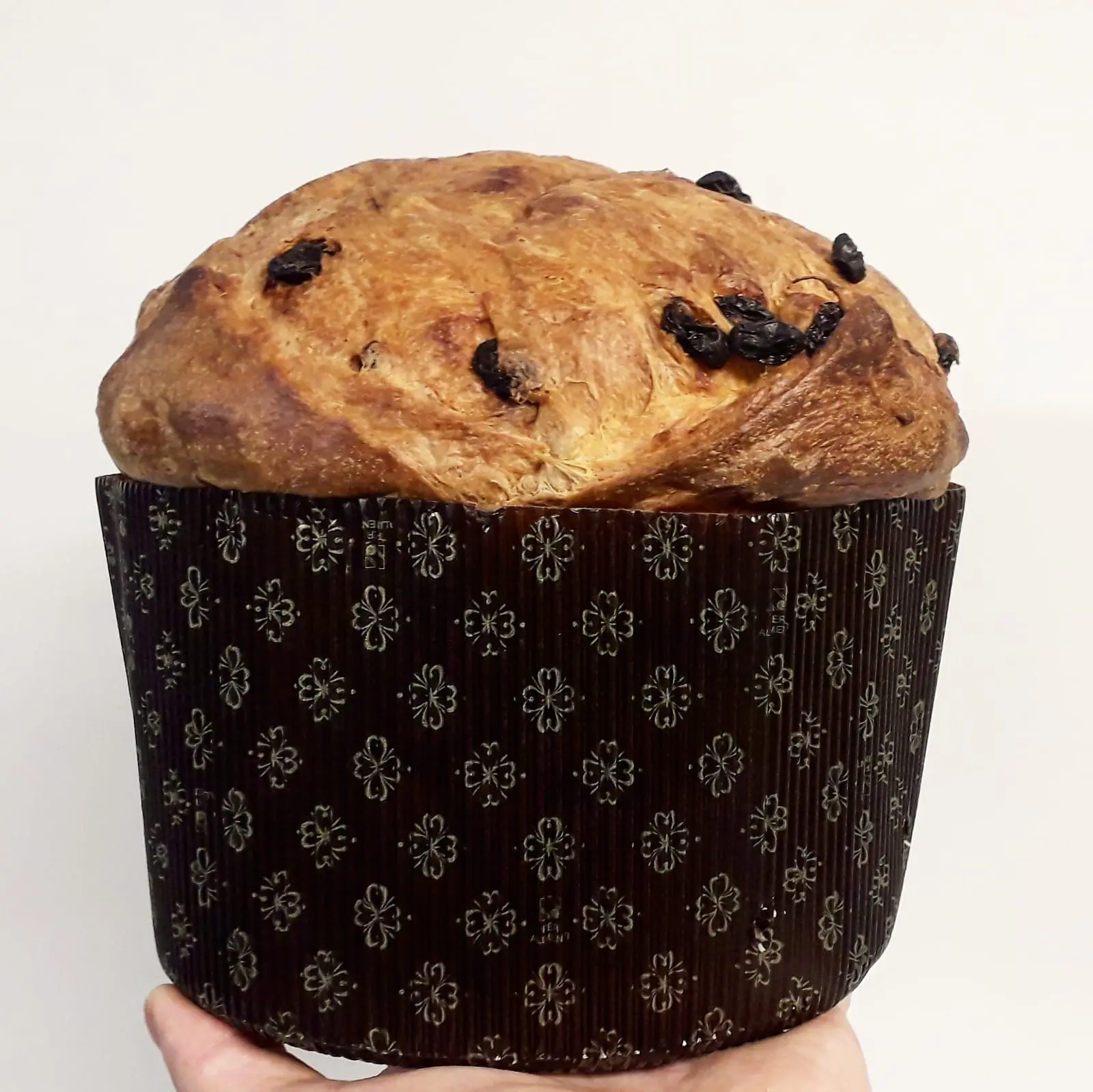 Panettone