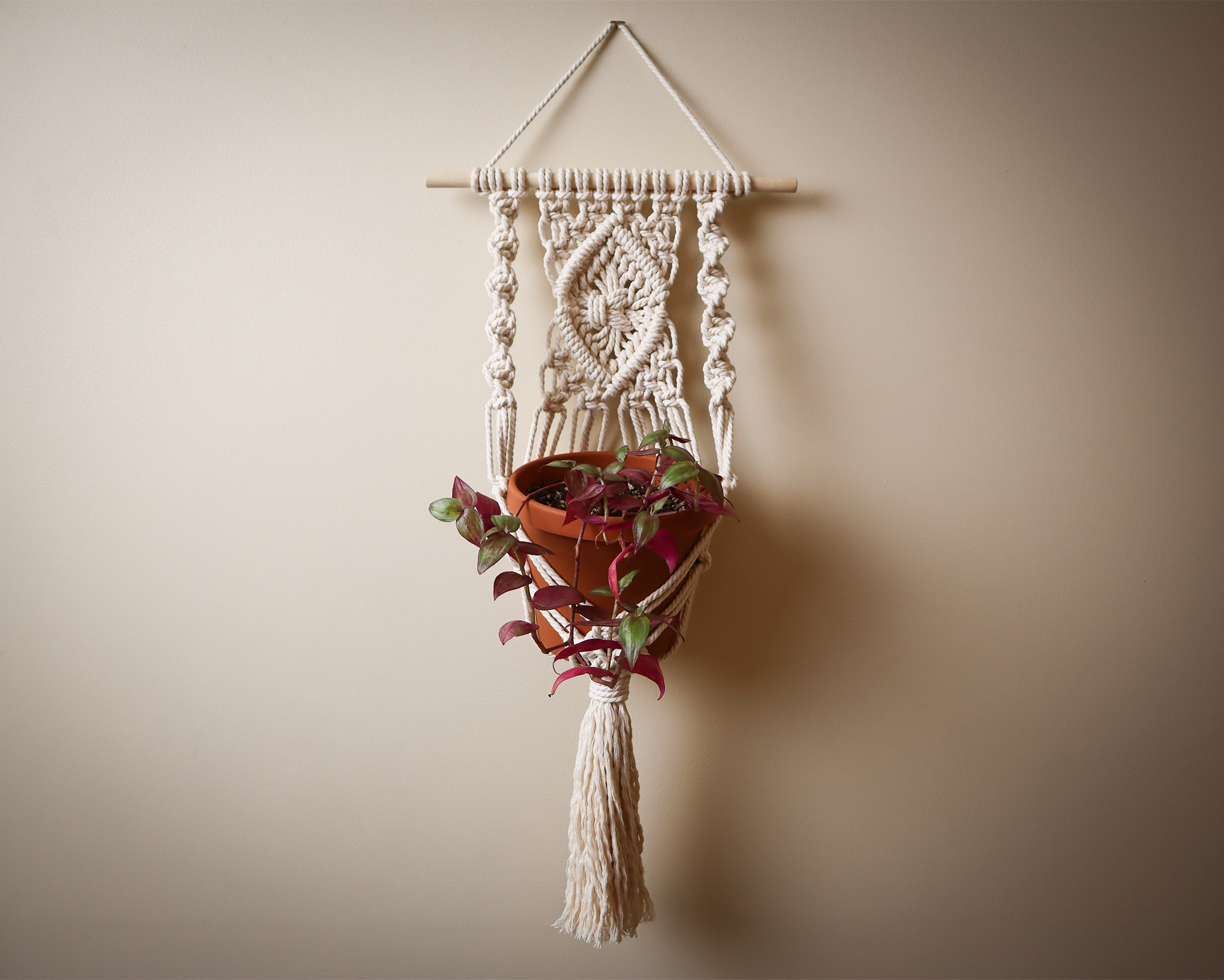 Maisy macrame wall plant hanger