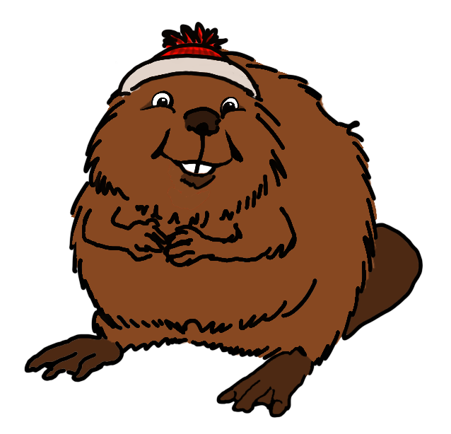 Drawing of a beaver