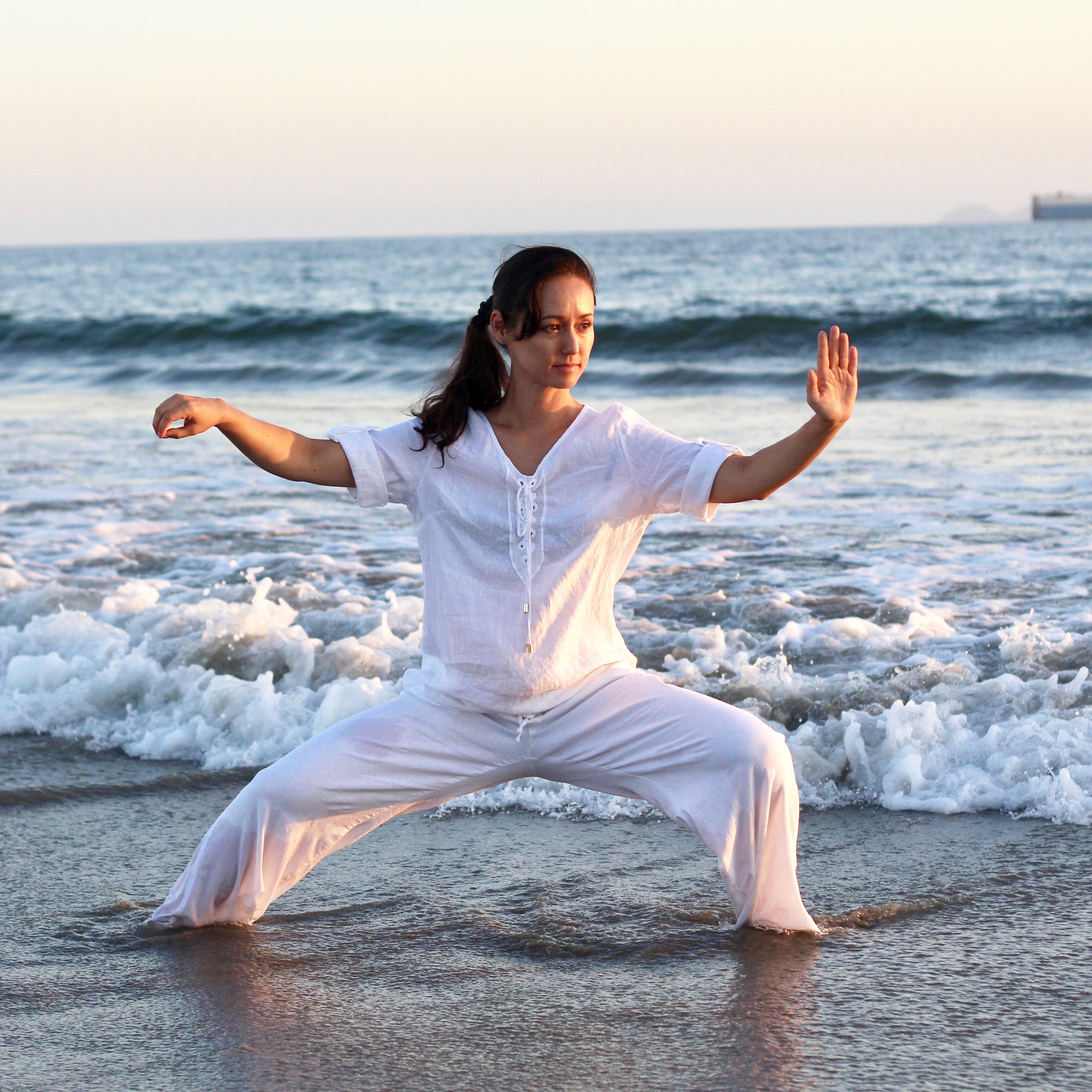 Traditional Chen Taijiquan